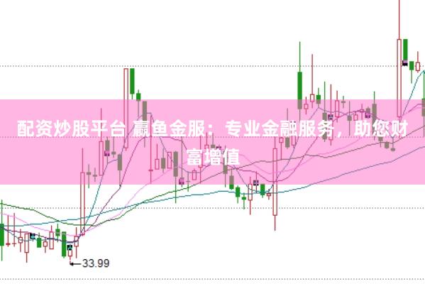 配资炒股平台 赢鱼金服：专业金融服务，助您财富增值