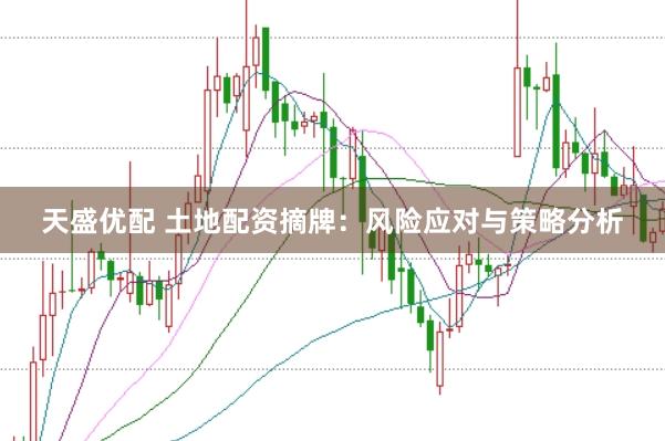 天盛优配 土地配资摘牌：风险应对与策略分析
