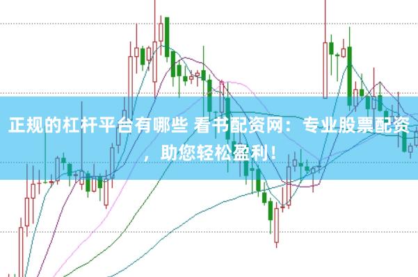 正规的杠杆平台有哪些 看书配资网：专业股票配资，助您轻松盈利！