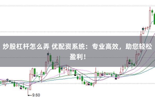 炒股杠杆怎么弄 优配资系统：专业高效，助您轻松盈利！