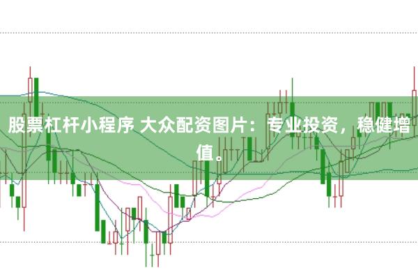 股票杠杆小程序 大众配资图片：专业投资，稳健增值。