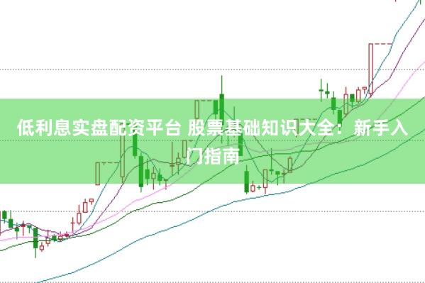 低利息实盘配资平台 股票基础知识大全：新手入门指南