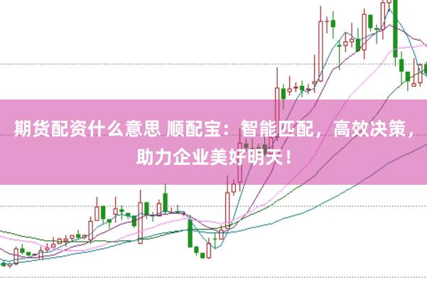 期货配资什么意思 顺配宝：智能匹配，高效决策，助力企业美好明天！