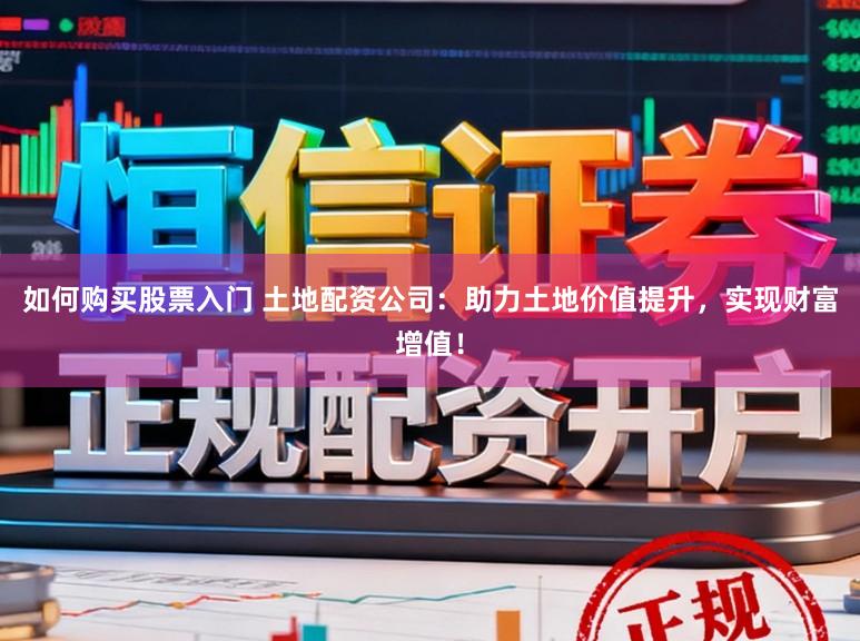 如何购买股票入门 土地配资公司：助力土地价值提升，实现财富增值！