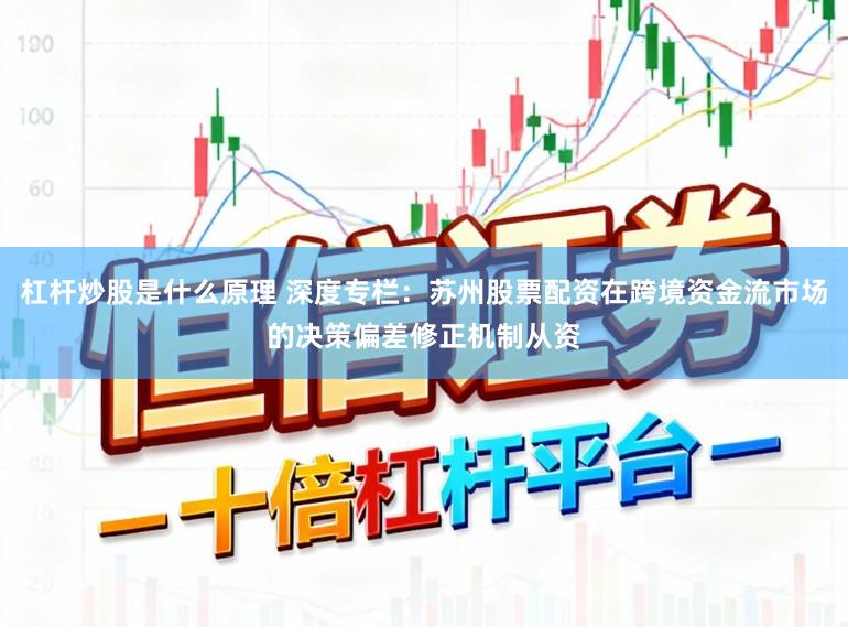 杠杆炒股是什么原理 深度专栏：苏州股票配资在跨境资金流市场的决策偏差修正机制从资