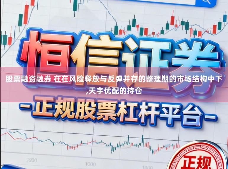 股票融资融券 在在风险释放与反弹并存的整理期的市场结构中下,天宇优配的持仓
